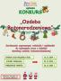 Grafika dekoracyjna